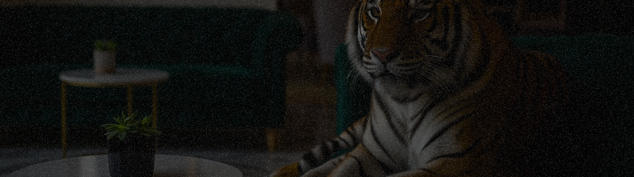 Start Small. Grow Steady.